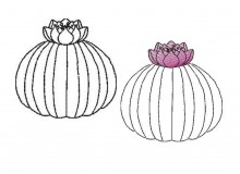 Stickdatei - Kaktus1 Line Art